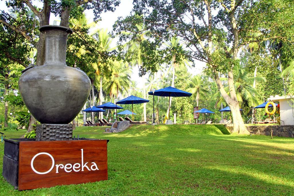 Oreeka - Katunayake Airport Transit Hotels Ngoại thất bức ảnh